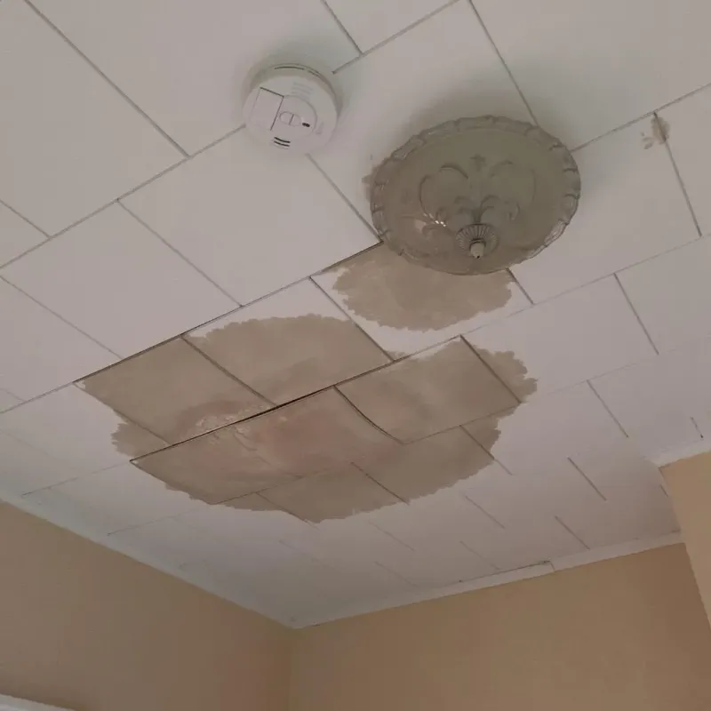 Ceiling Water Damage Repair in Farmersburg, IN