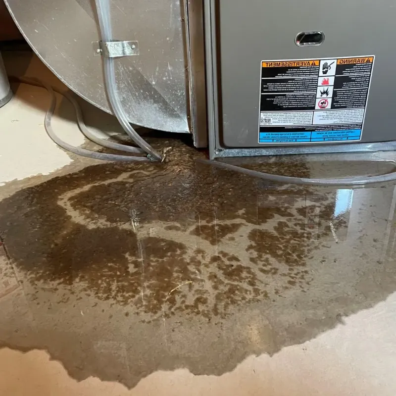 Pipe Burst and Leak Restoration in Farmersburg, IN