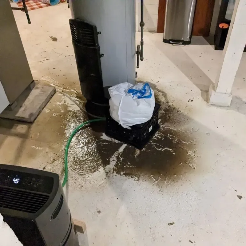 Sewage Backup Cleanup Service in Farmersburg, IN